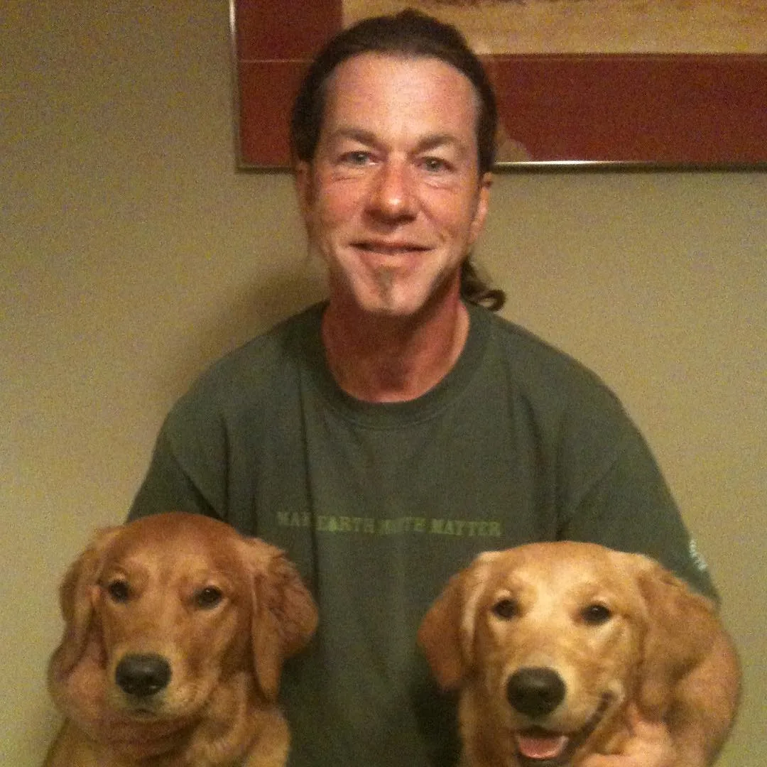 Two Golden Retrievers