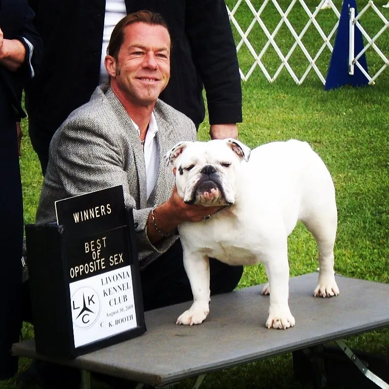 Dog-show handling and recognition