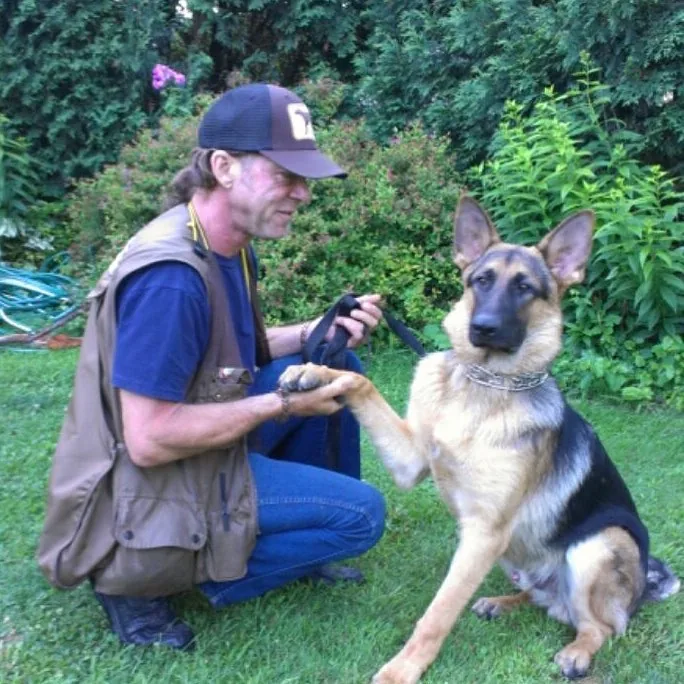 Hands-on obedience training